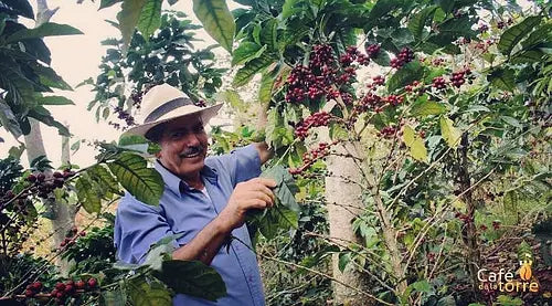 Pesca - Special Edition