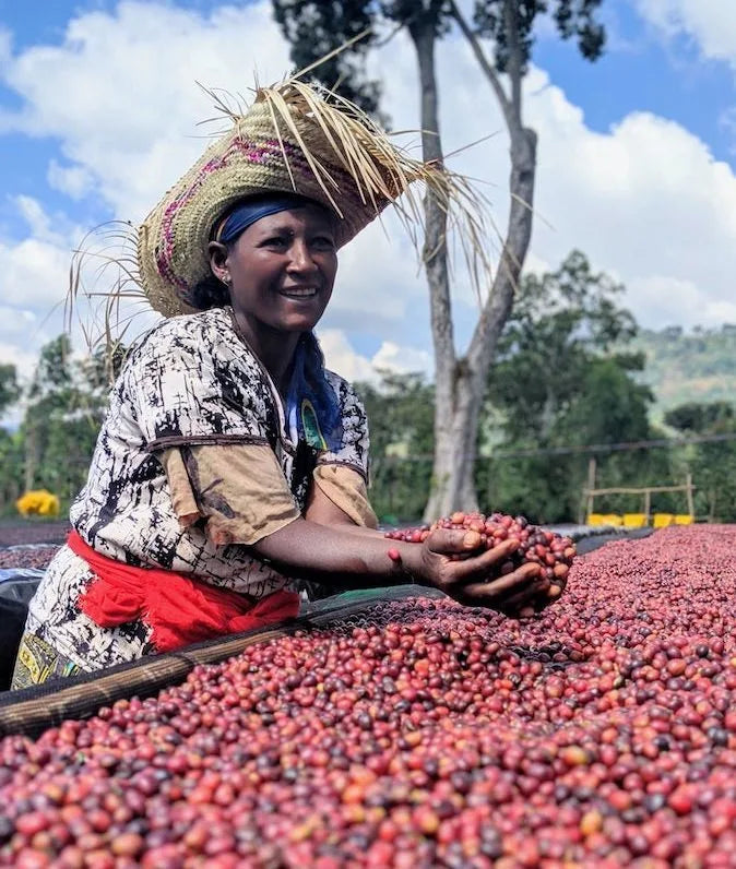 Shantawene, Äthiopien, 100% Arabica